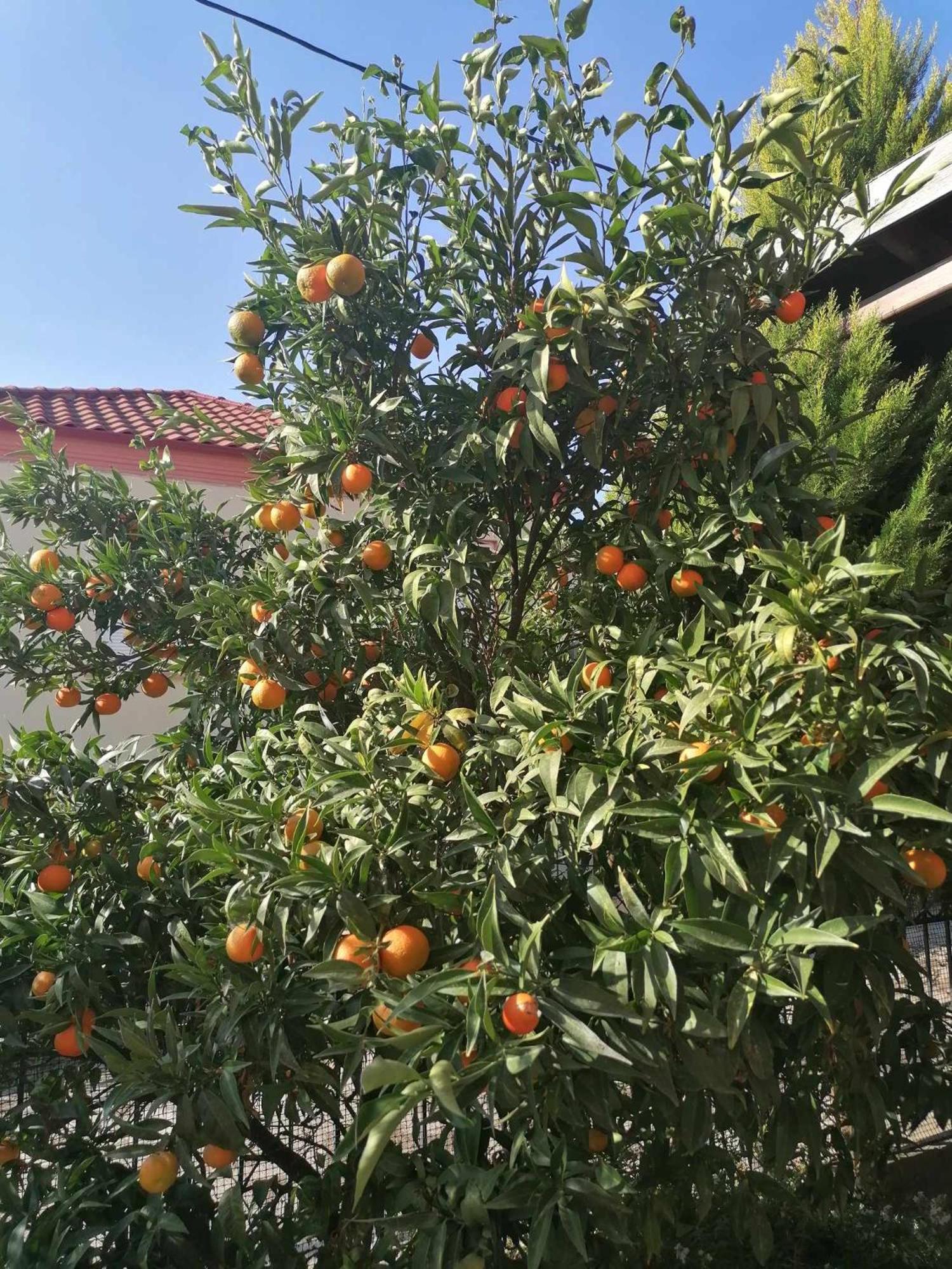 Cosy House Stratoni Chalkidiki 300M From Beach Bagian luar foto